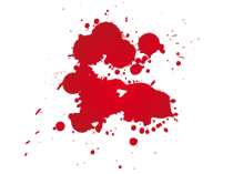 Immagina Grafica